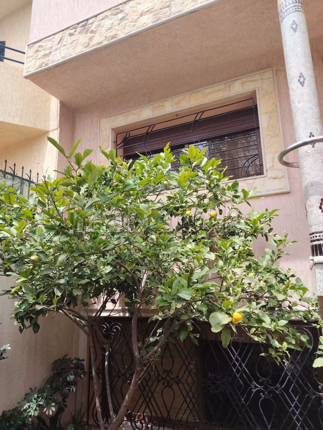 180 m2 Magnifique villa à Dalia Bouskoura