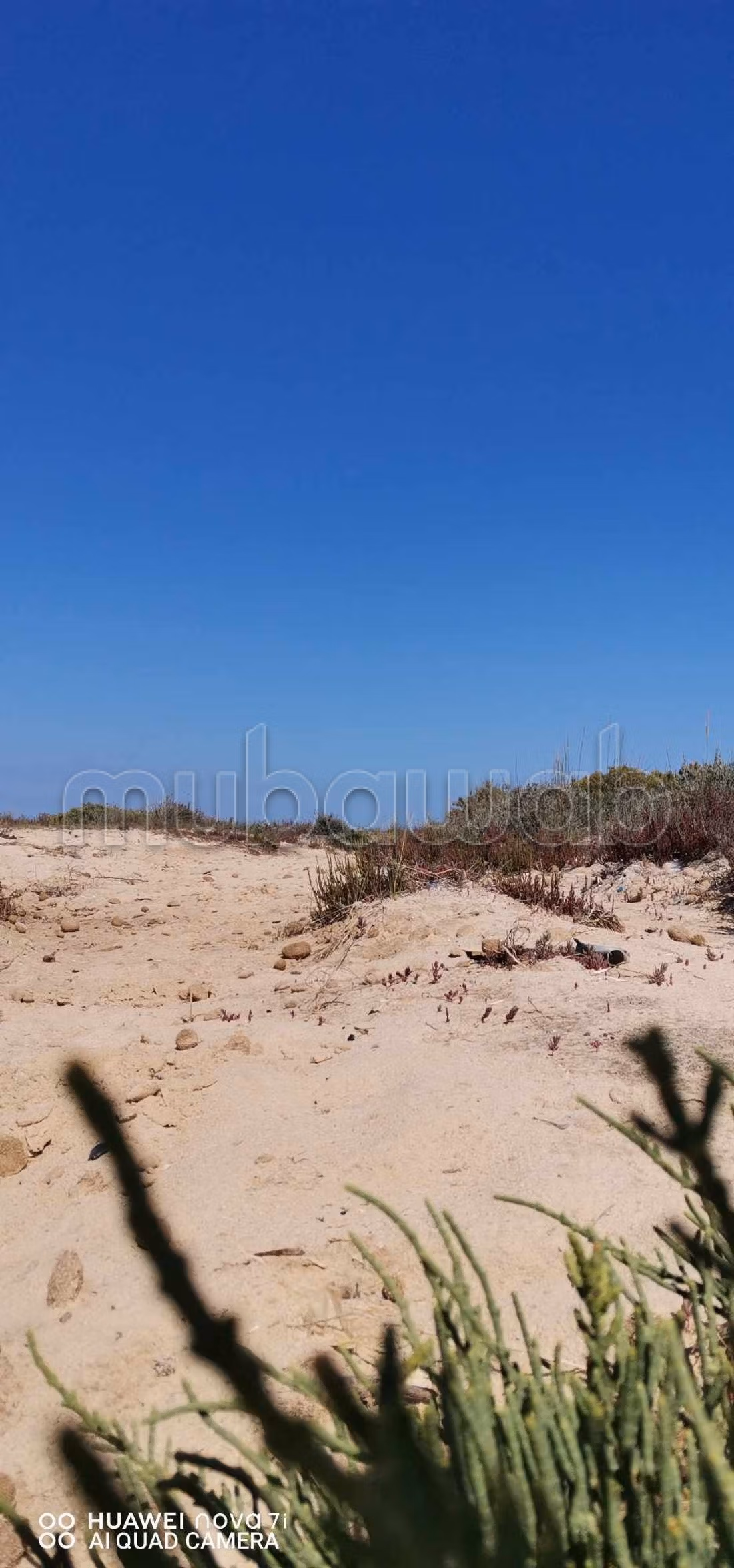 Land for sale. Dimension 6615 m²