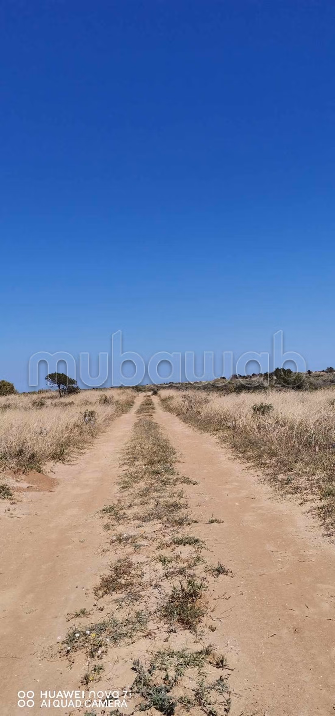 Land for sale. Dimension 6615 m²