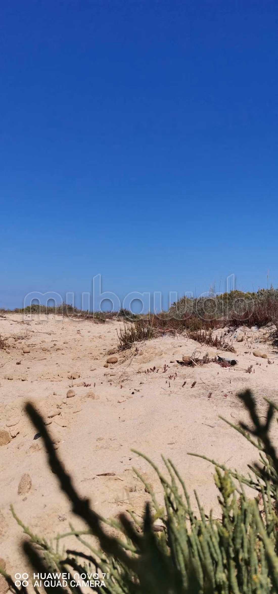 Land for sale. Dimension 6615 m²