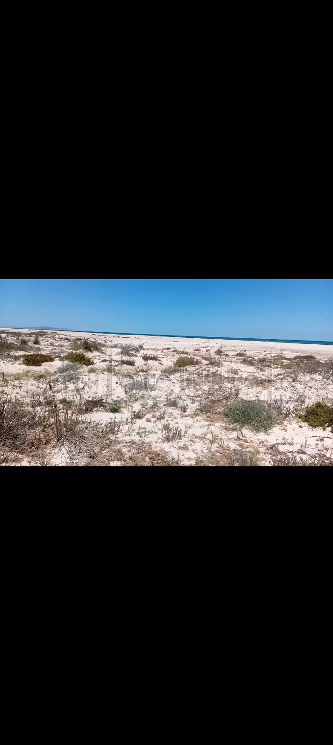 Land for sale. Dimension 6615 m²