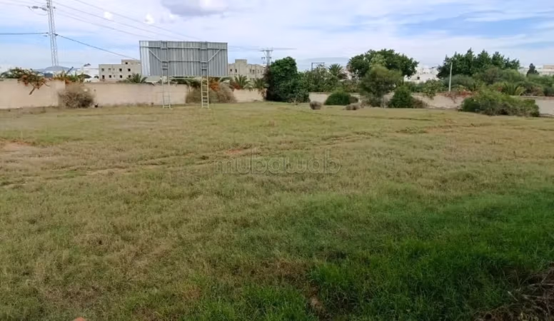 A vendre terrains a hammamet / barraket essahel