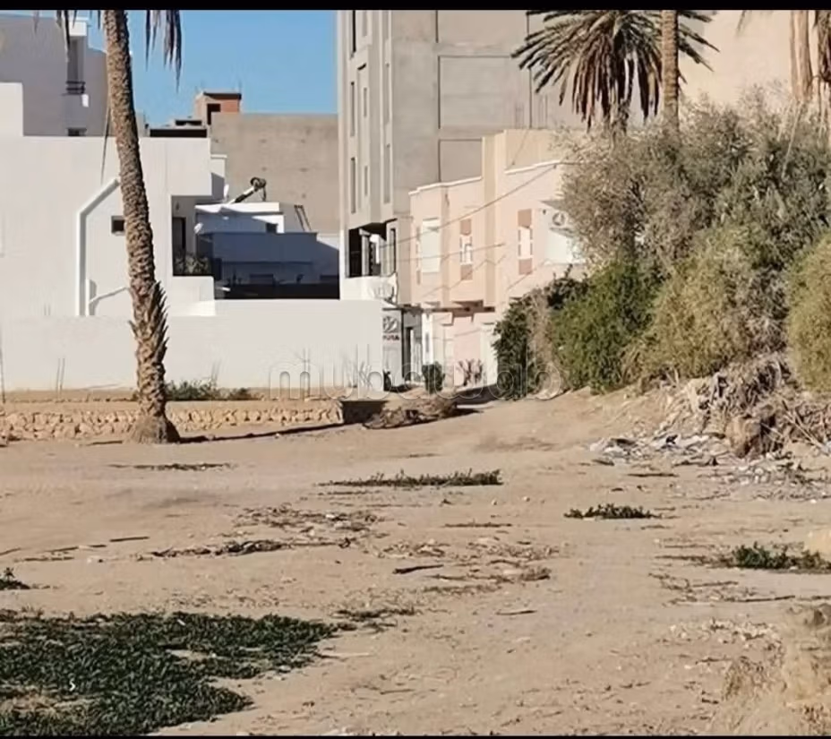 Terrain a vendre a gafsa sud