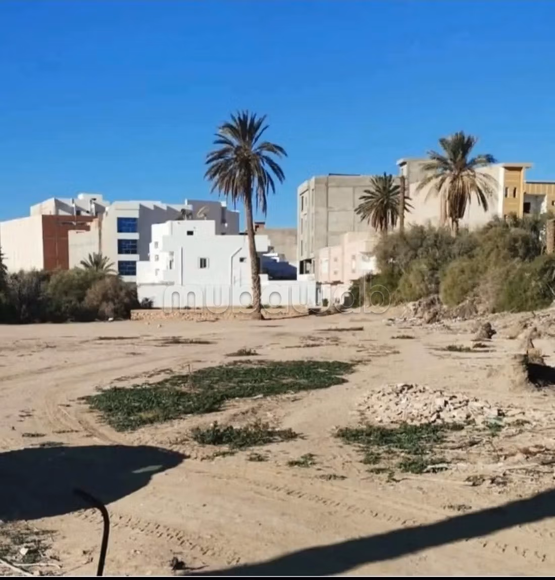 Terrain a vendre a gafsa sud