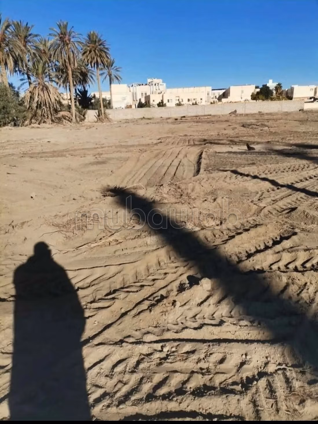 Terrain a vendre a gafsa sud