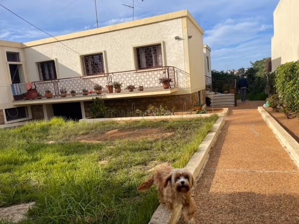 Splendide villa à vendre à Bettana. 
Surface de 700 m². 
Jardin et terrasse