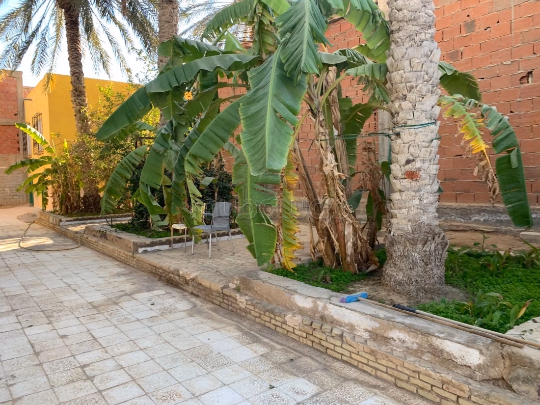 Strategic commercial space for rent - Tozeur
