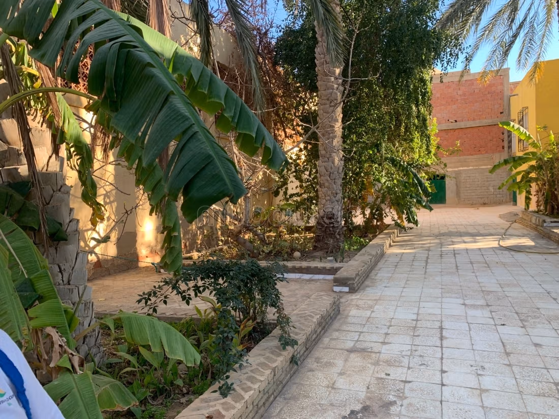 Strategic commercial space for rent - Tozeur