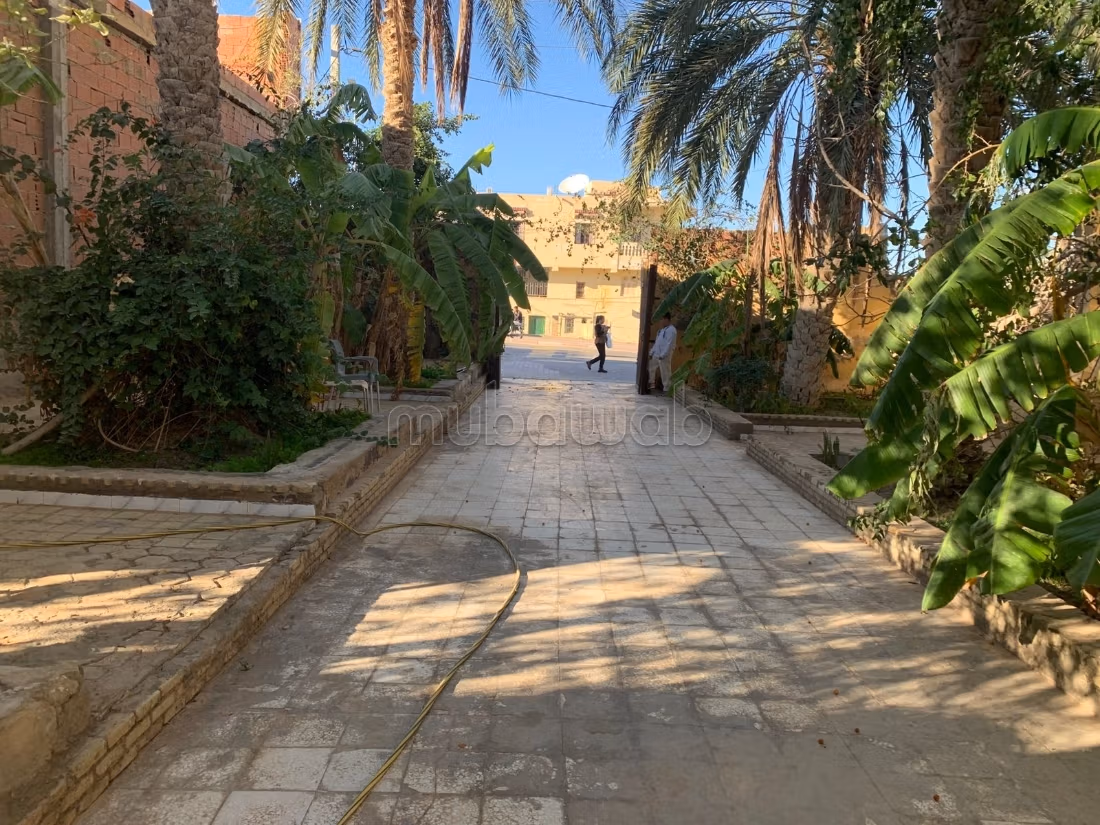 Strategic commercial space for rent - Tozeur
