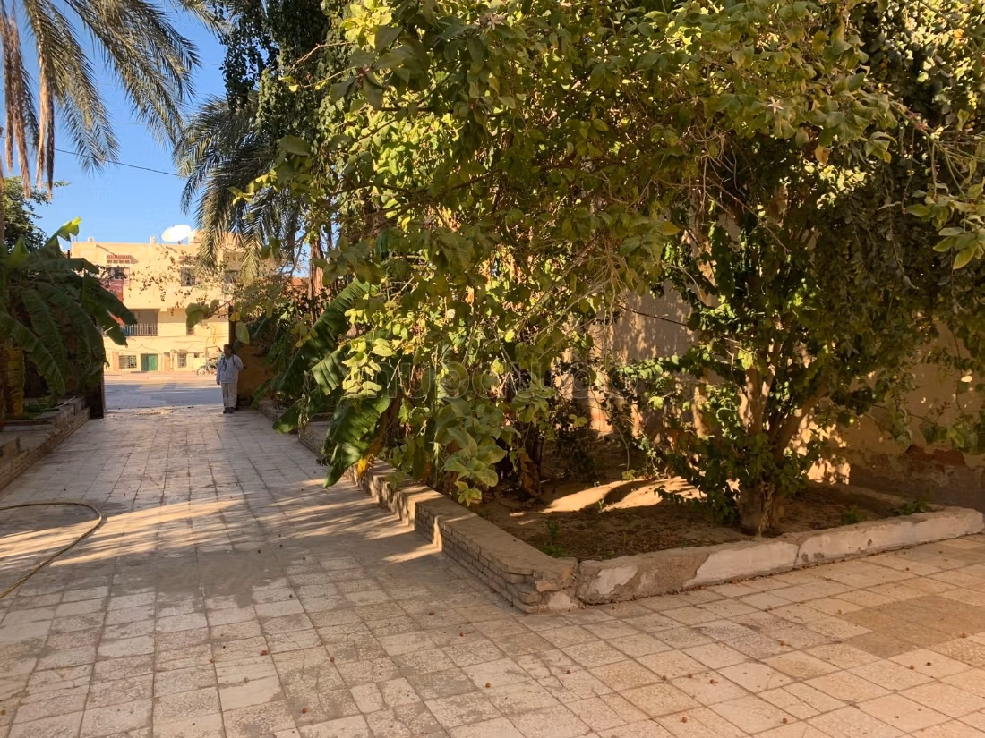 Strategic commercial space for rent - Tozeur