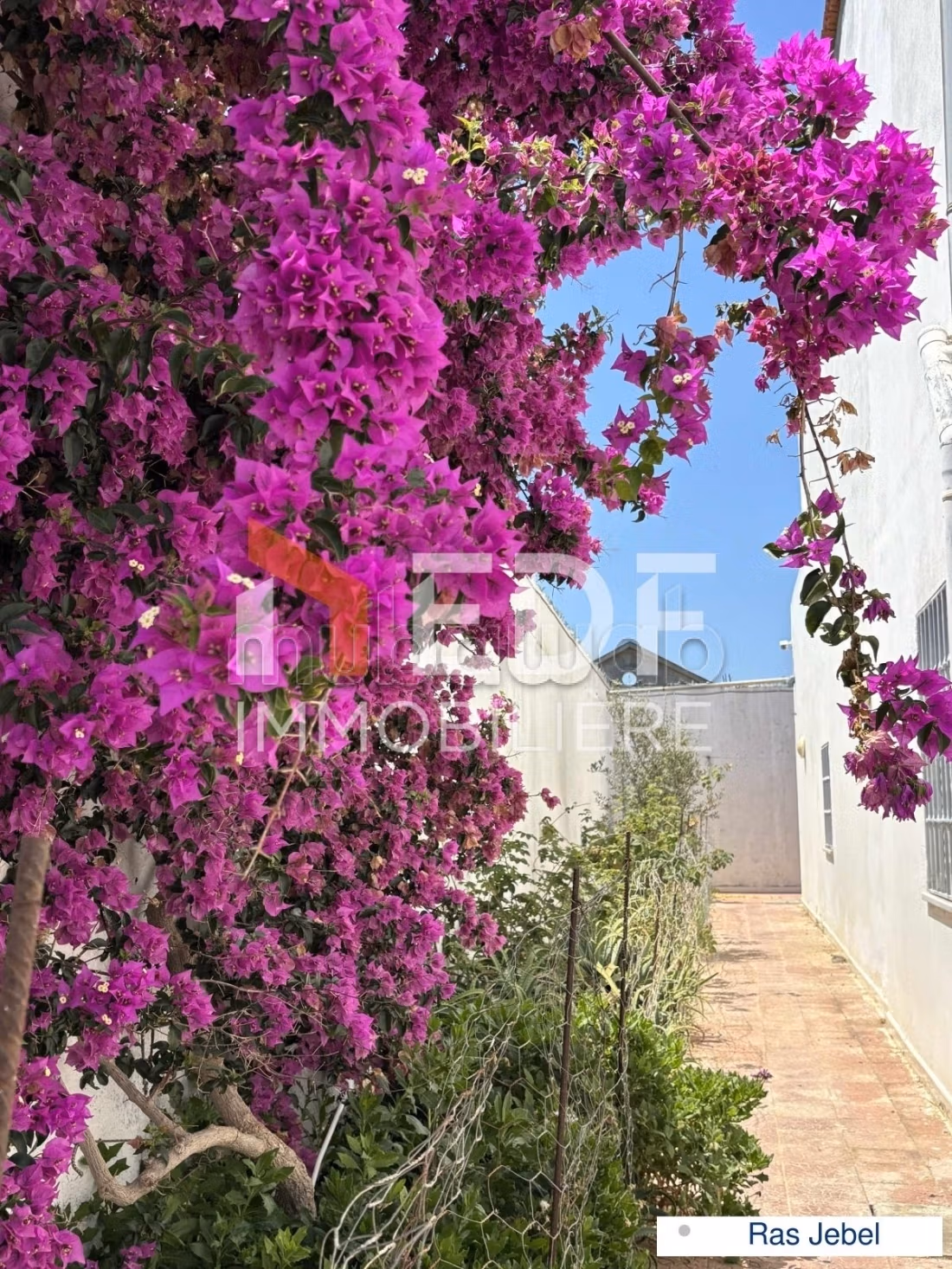 A Vendre Villa pied dans l'eau à Ras Jebel, Bizerte