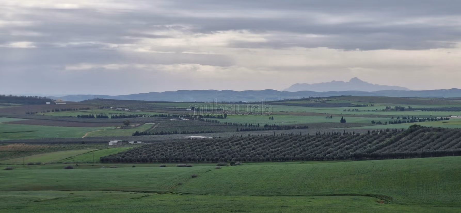 A vendre 20 hectares a el Battan Manouba