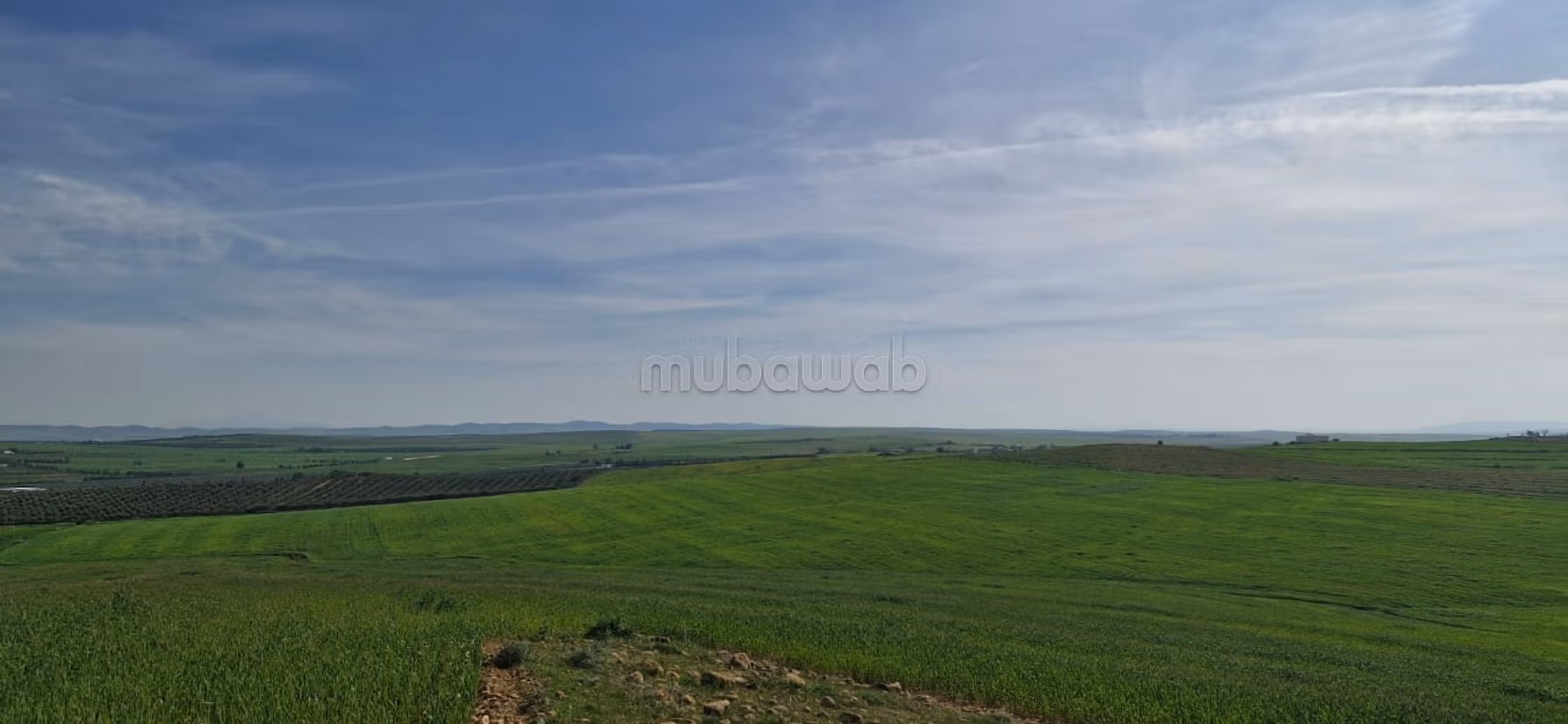 A vendre 20 hectares a el Battan Manouba