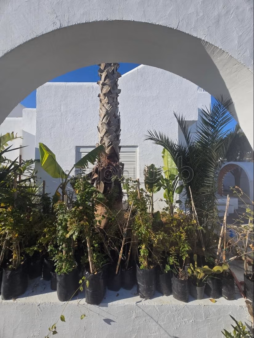 Contemporary style villa for rent in Gammarth