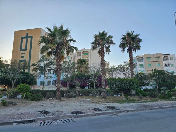 Terrain titre bleu loti à borj louzir