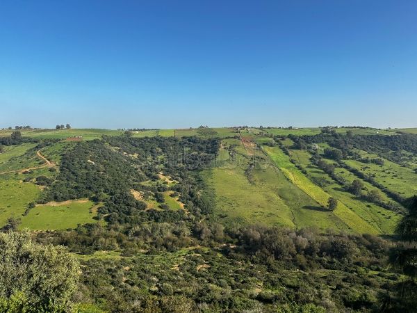 Terrain à vendre Souissi Rabat – 4 936 m² – Vue vallée – Terrain villa Rabat