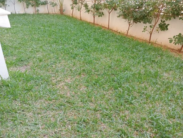 Vente ennasr2 lot de terrain 2800m² habitation