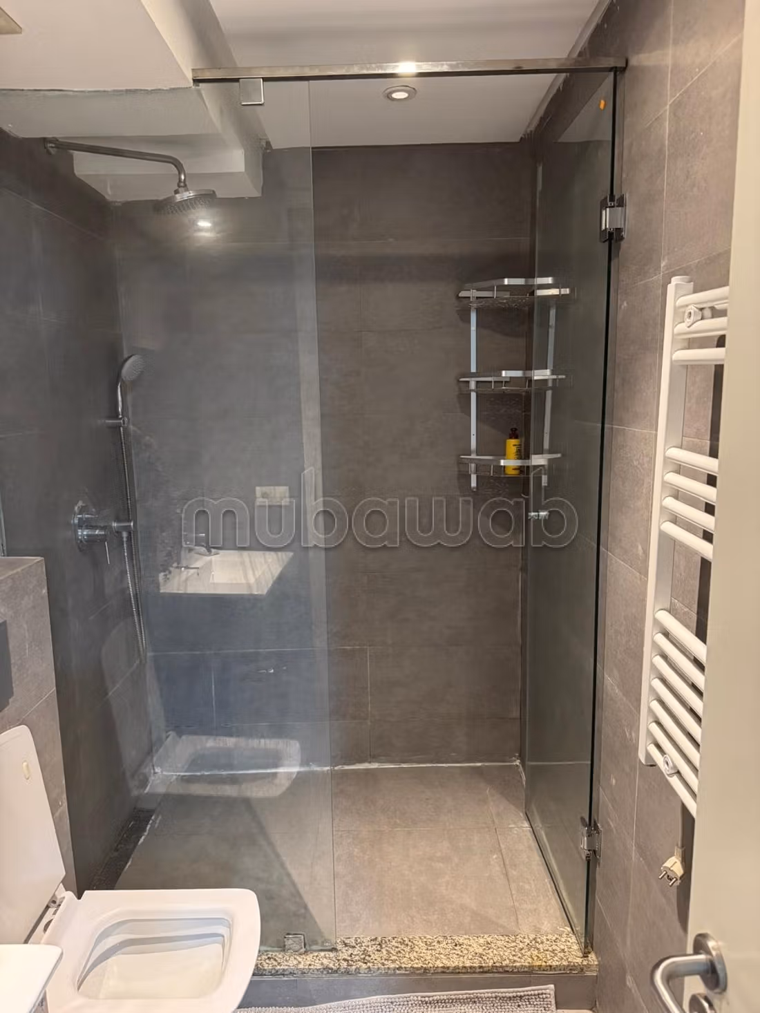 Studio meublé avec terrasse 60m2 à RACINE — 5