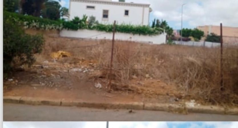 Terreno nel cuore delle rocce nere