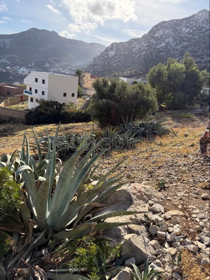 Bouwgrond Belyounech