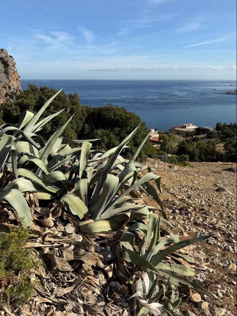 Bouwgrond Belyounech