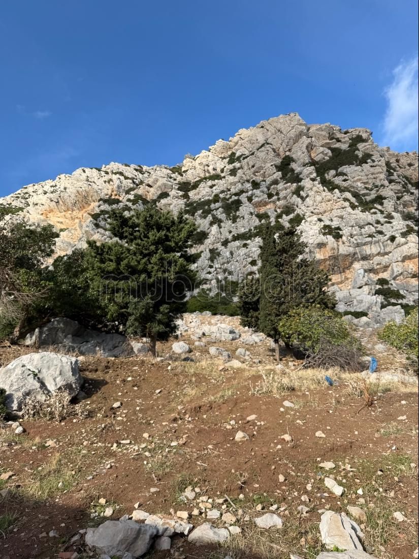 Bouwgrond Belyounech