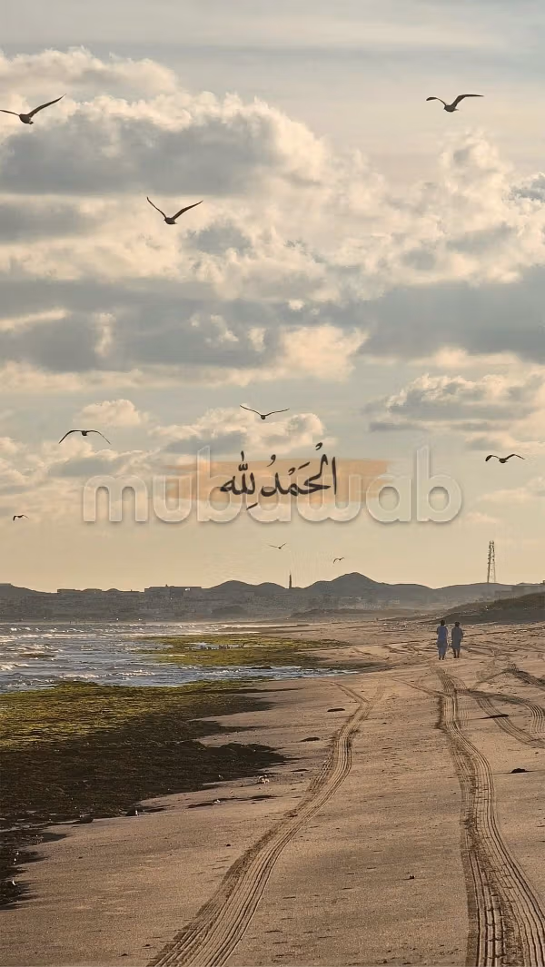يبدو أن S2 مروج 3