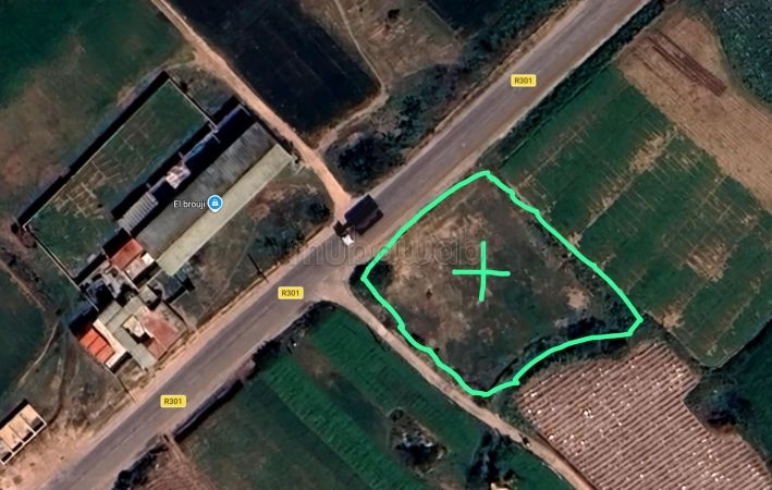 Terrain titré 1600m² Route Oualidia