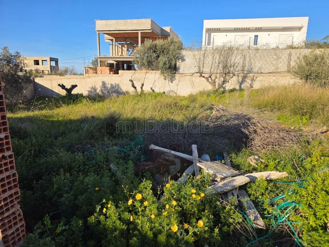 Vente terrain borj touil pres de huilerie ben sass