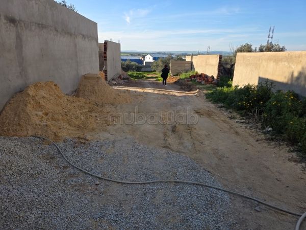 Vente terrain borj touil pres de huilerie ben sass