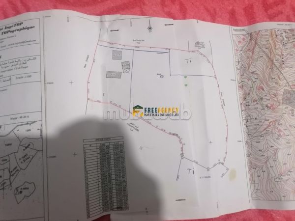 Terrain villa 1000 m² à Médionna,
Tanger