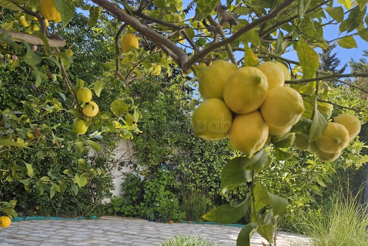 A vendre Villa d’Exception à Gammarth