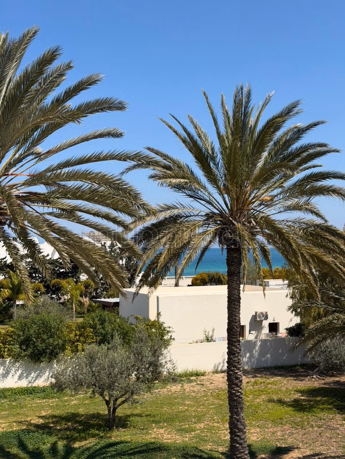 Villa de style djerbienne pieds dans l'eau à sousse