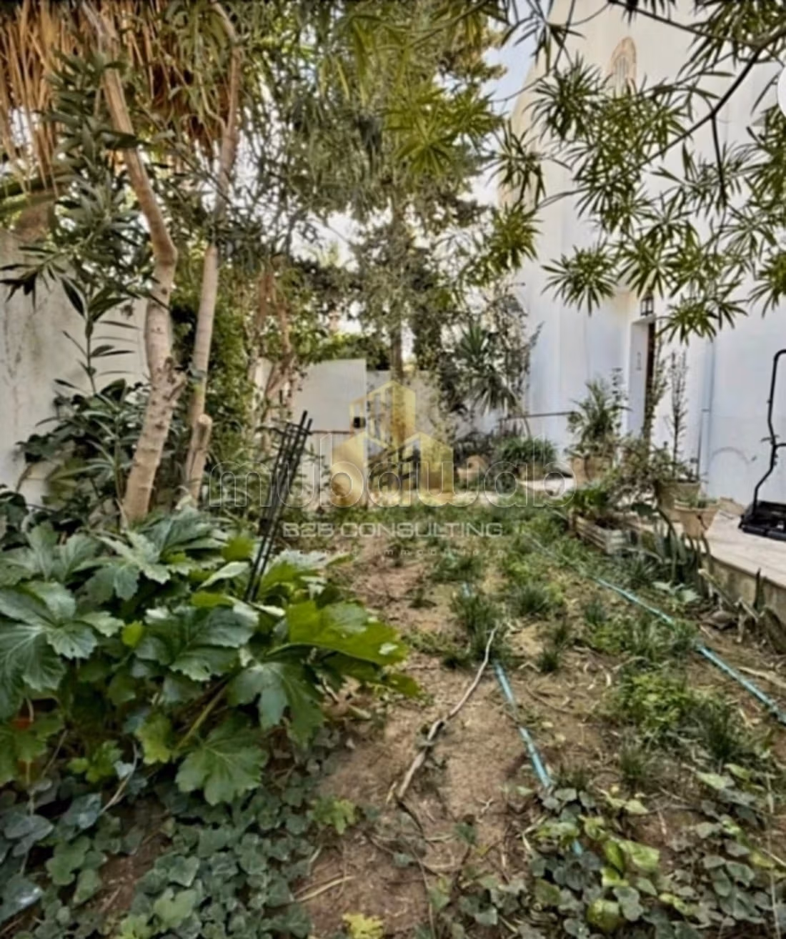 Vente villa S3 à la Marsa
