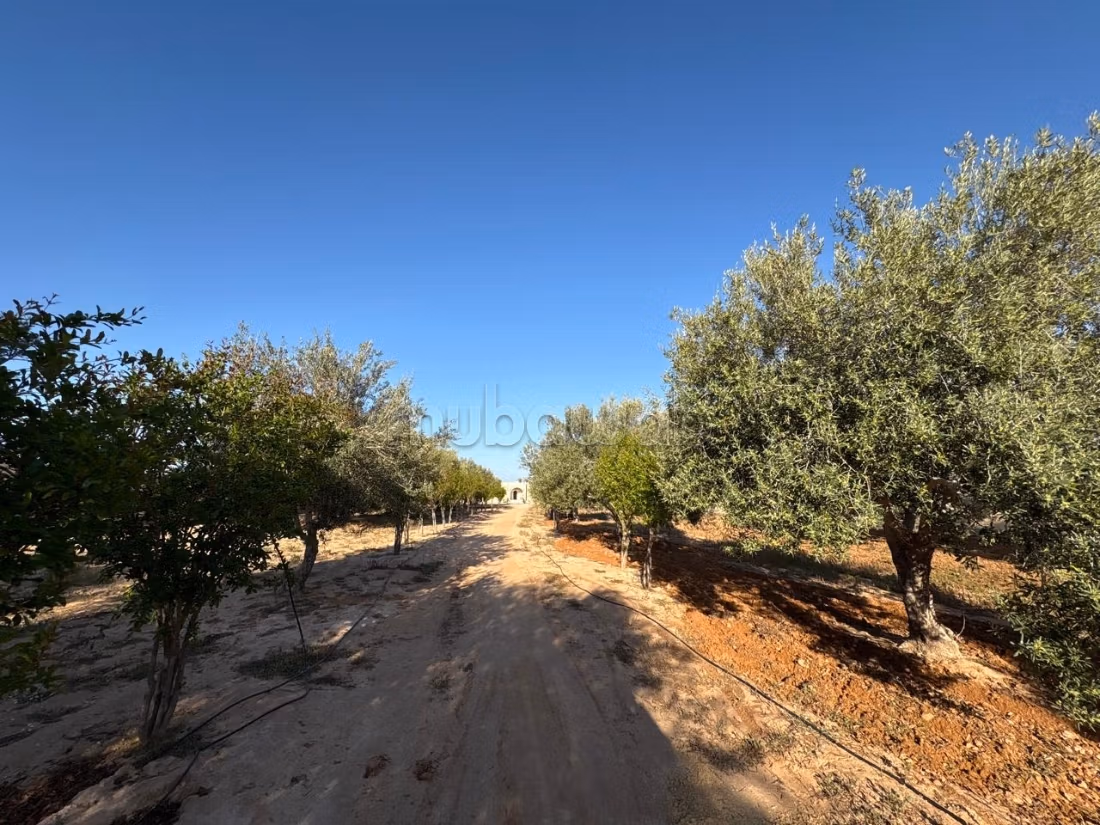 Villa with pool for sale - Djerba