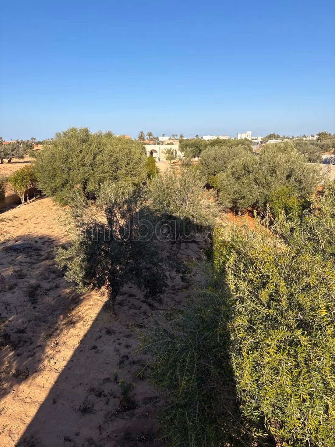 Villa with pool for sale - Djerba