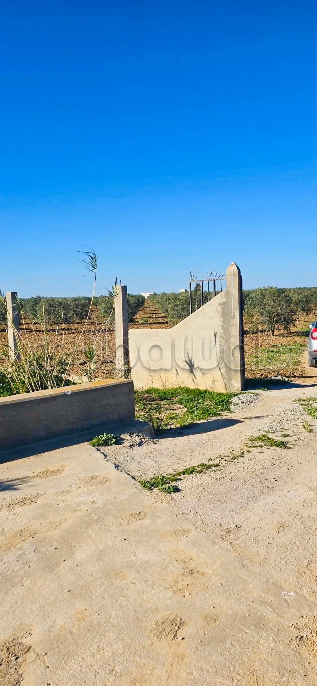 Trouvez votre ferme à acheter à Nabeul 
Enfidha. Superficie 150000 m². Places de parking