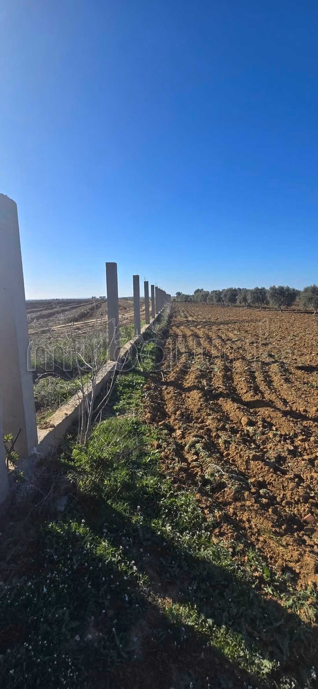 Trouvez votre ferme à acheter à Nabeul 
Enfidha. Superficie 150000 m². Places de parking