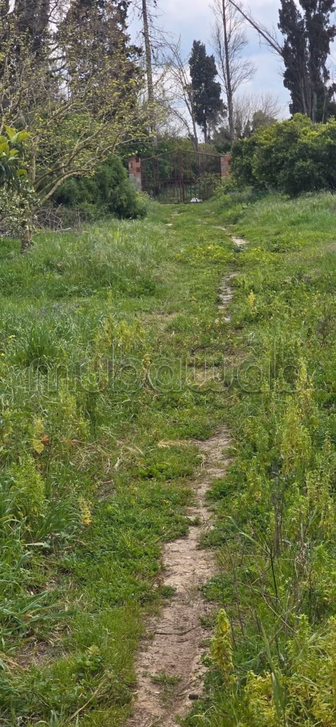 Terrain à acheter. Surface totale 18000 m²