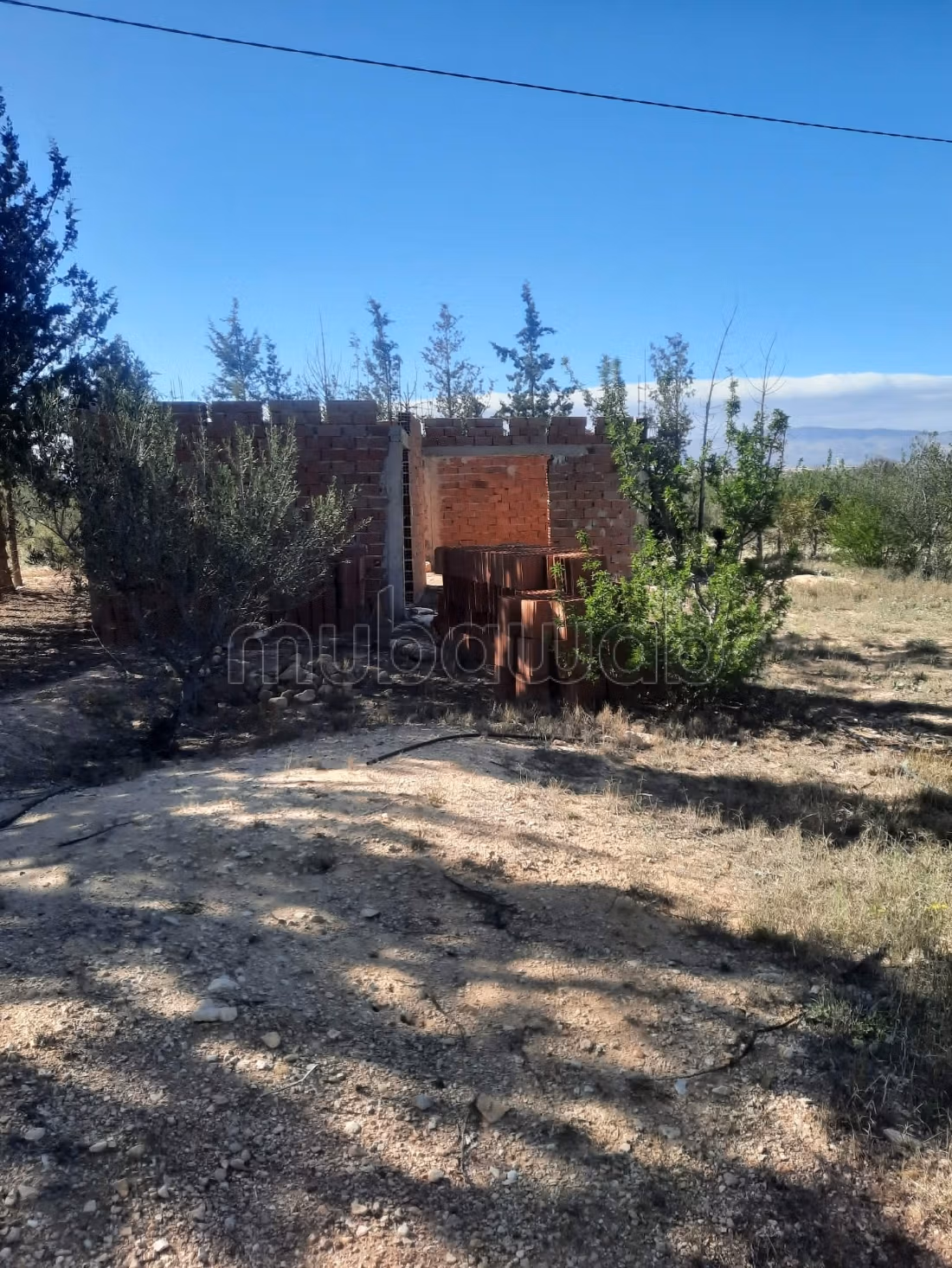 Terrain agricole irriguée 3.8ha a vendre