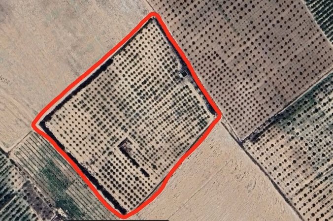 Terrain agricole irriguée 3.8ha a vendre