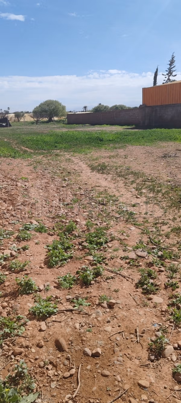Terreno en alquiler en Chrifia