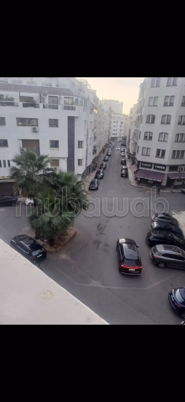 Big appartement triangle d'or