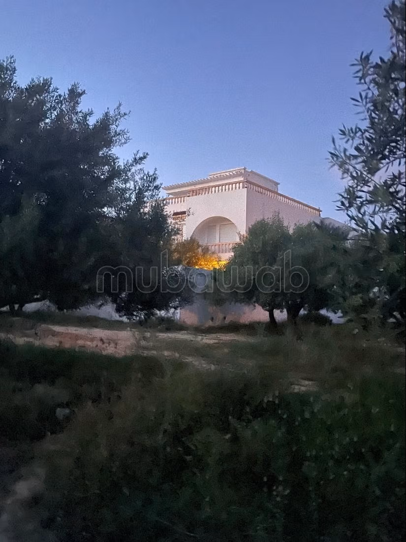 Location saisonnière villa de luxe à Hammamet Nord. 4 belles chambres. Vue sur les montagnes, chauffage central