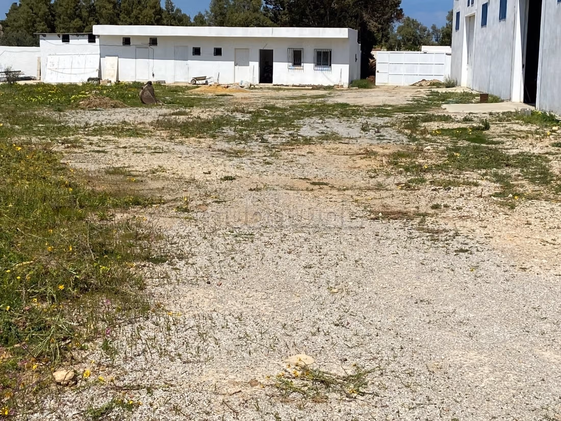 A louer Entrepôt neuf de 2 000 m2
