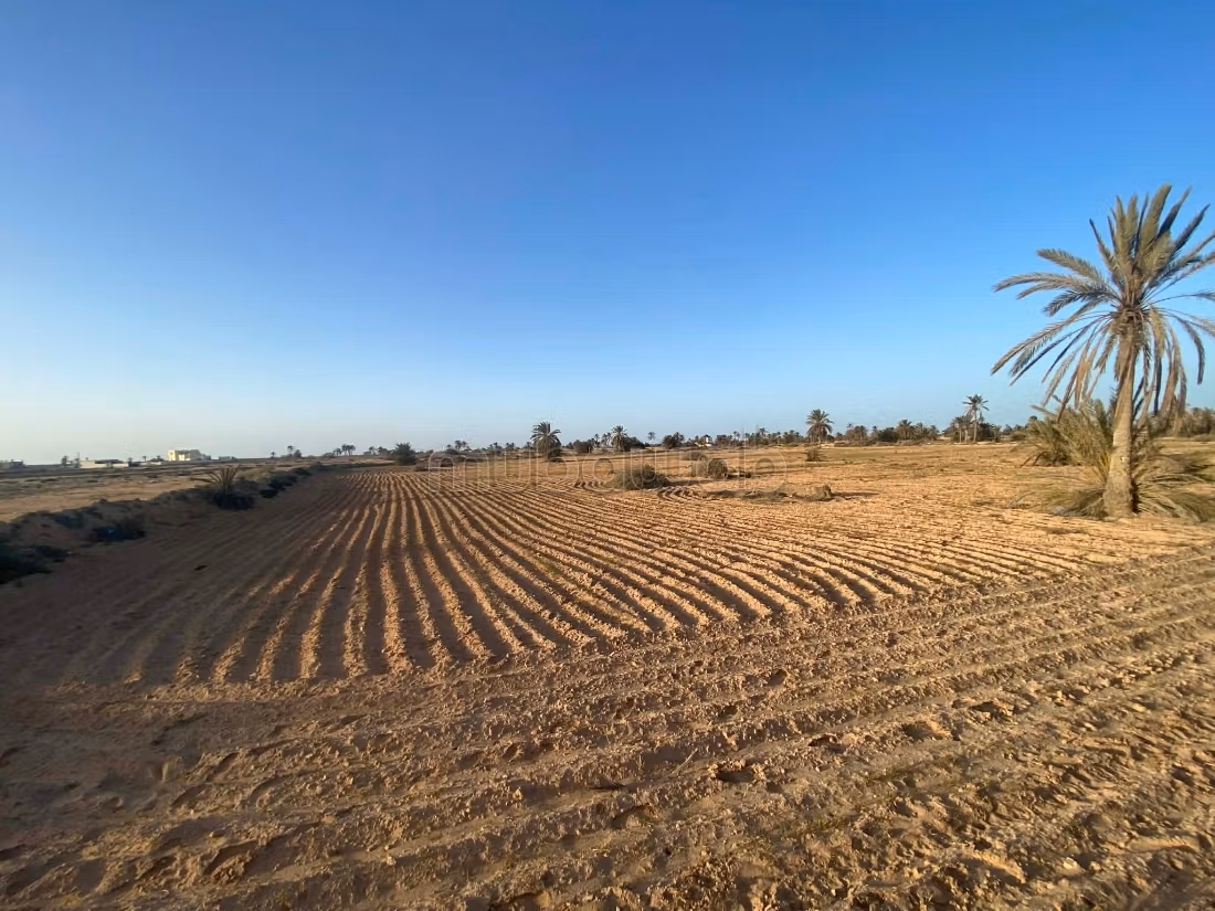 Terrain 13 000 m² près plage – Cheikh Yahya