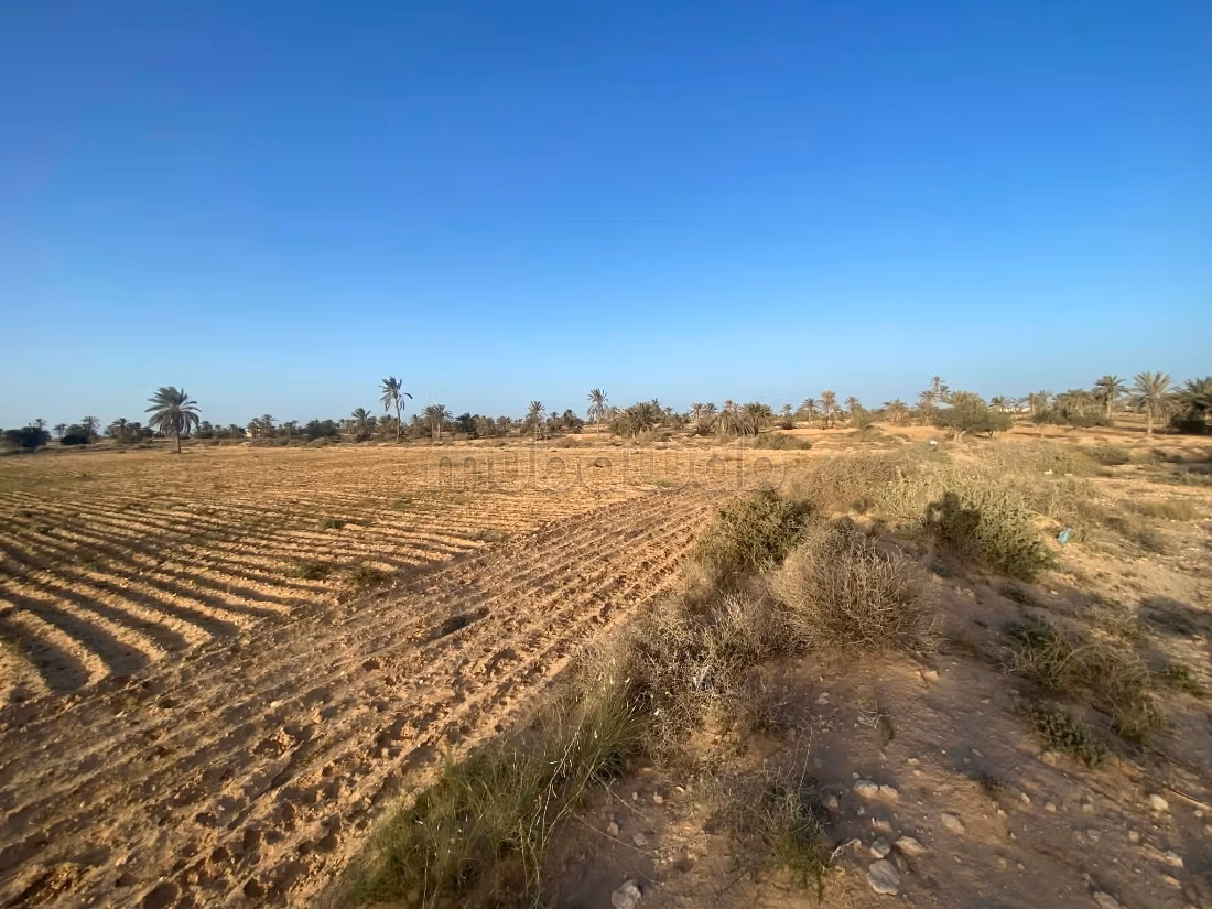 Terrain 13 000 m² près plage – Cheikh Yahya