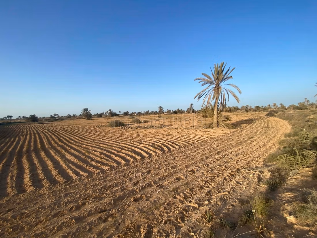 Terrain 13 000 m² près plage – Cheikh Yahya