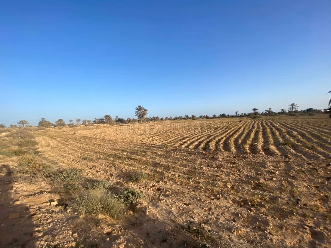 Terrain 13 000 m² près plage – Cheikh Yahya