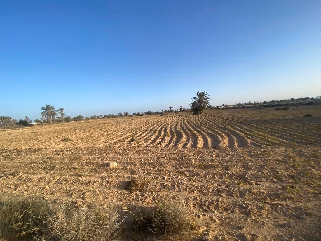 Terrain 13 000 m² près plage – Cheikh Yahya